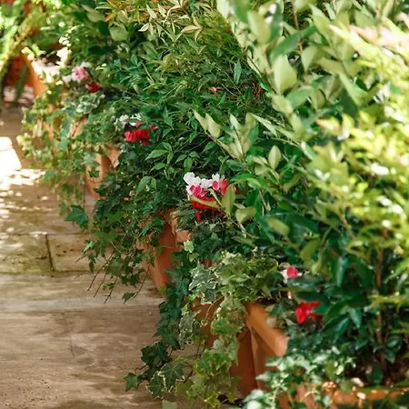 Ginori Garden Deluxe Collection Florence